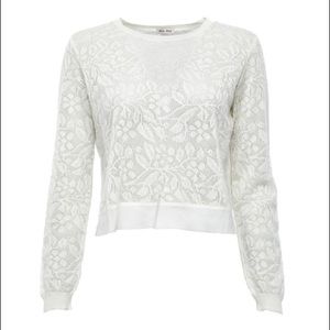 Miu Miu Cropped Sheer Sweater